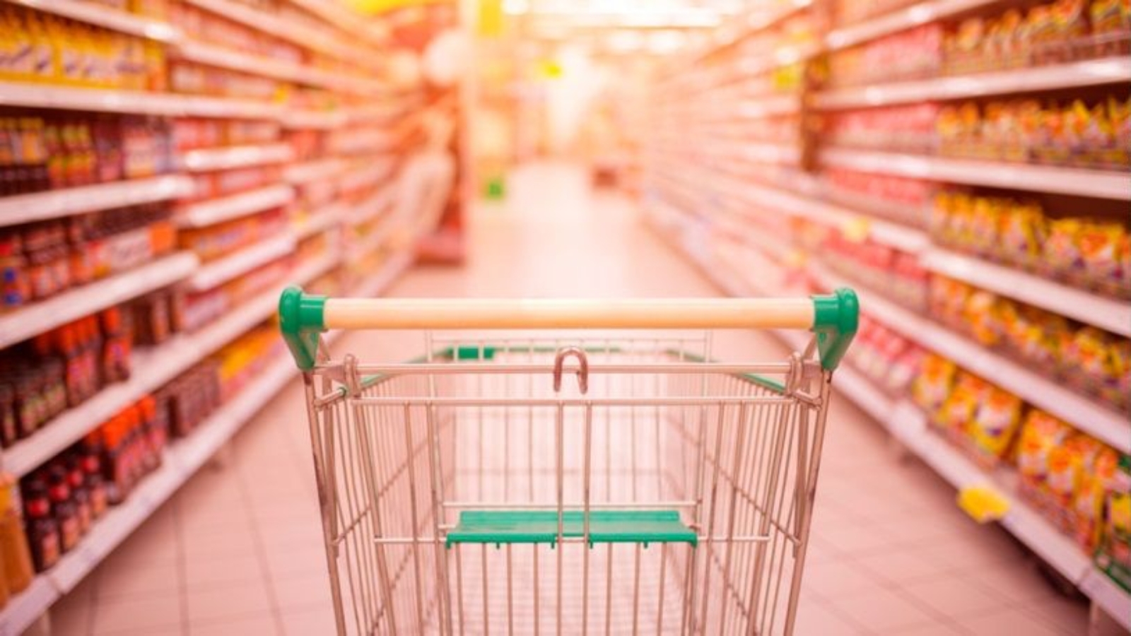 WhatsApp Image 2026-03-18 at 09.15.40